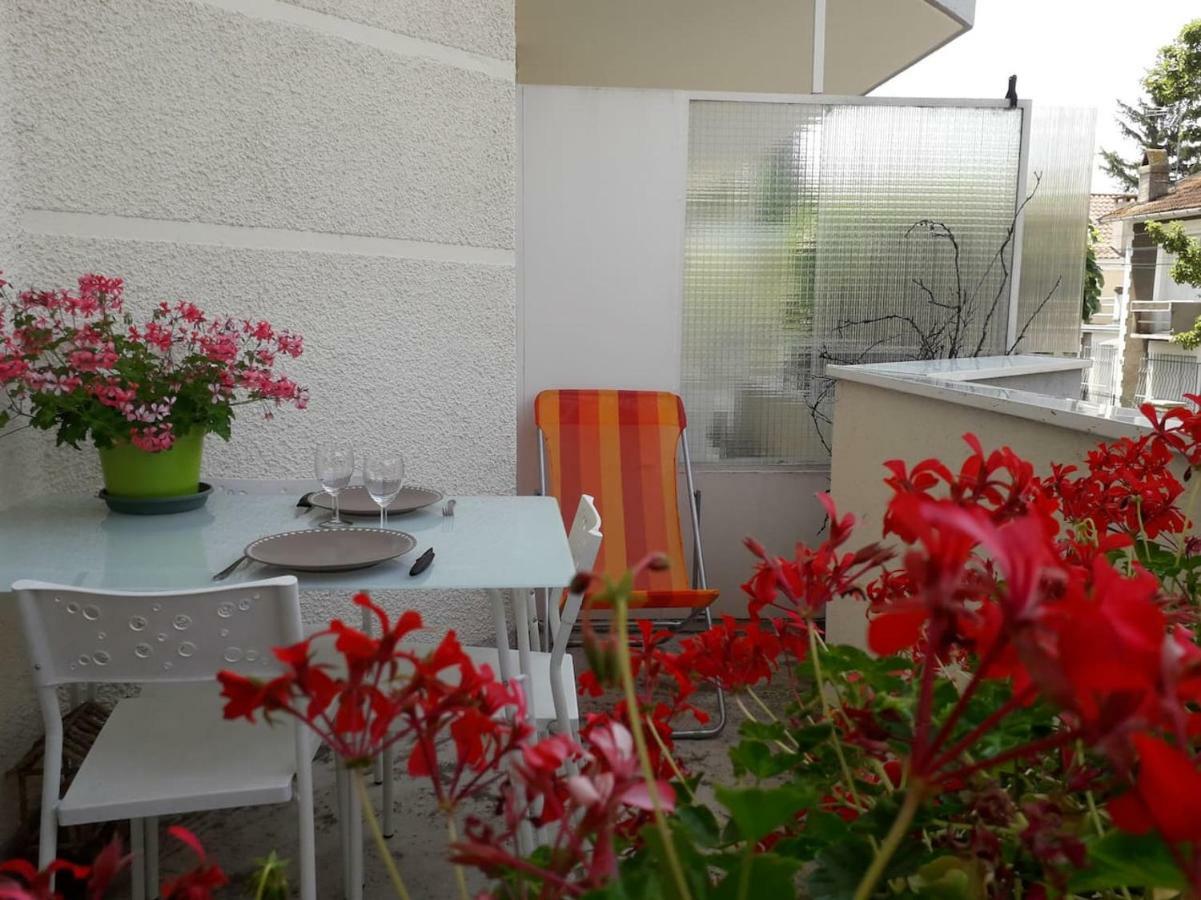 :) Grand Studio Lumineux A Toulouse Et Parking Exterior photo