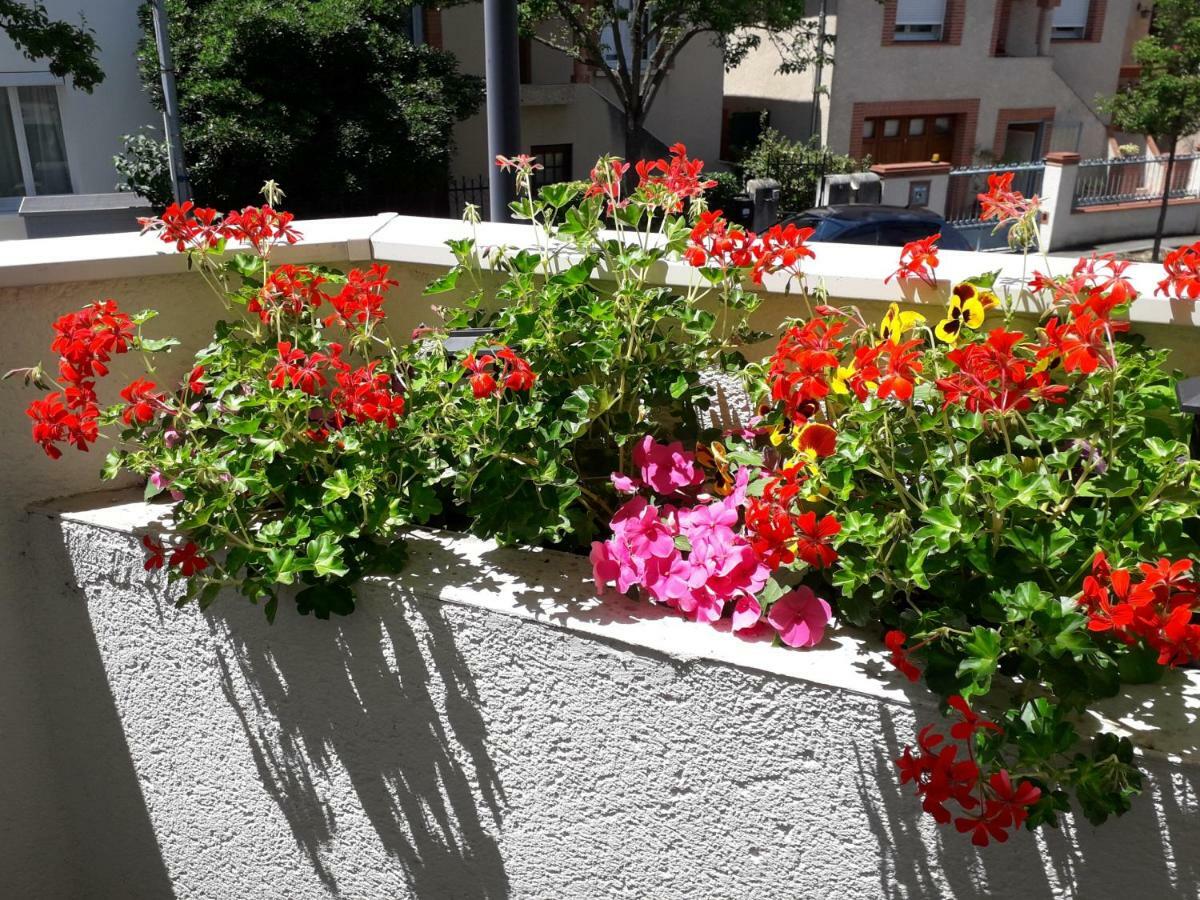 :) Grand Studio Lumineux A Toulouse Et Parking Exterior photo